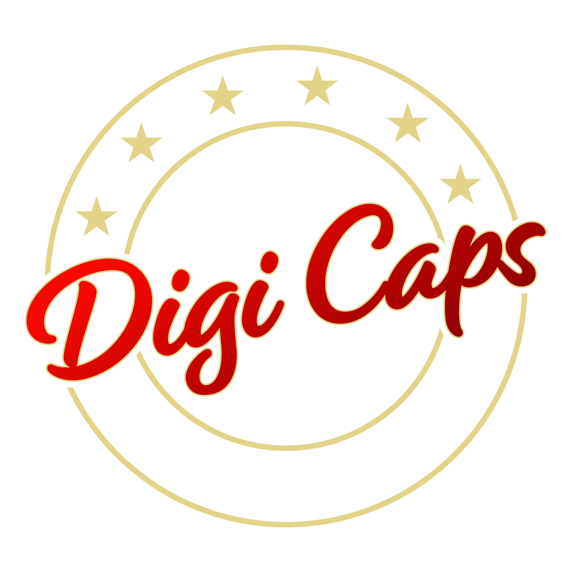 Digi Caps Raiders Digi Caps