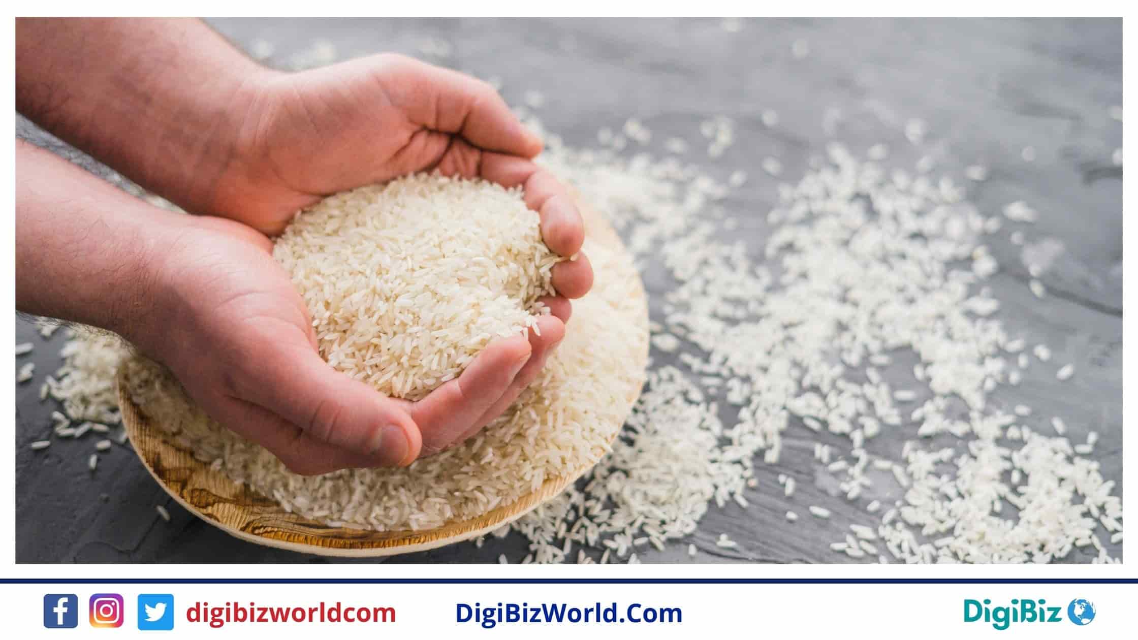 Top Most Rice Consuming Countries Worldwide 2023