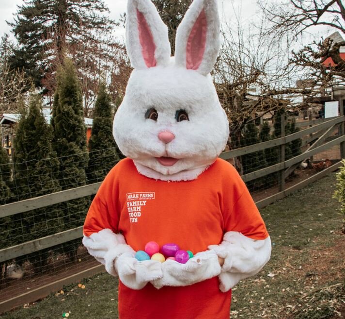 Easter Bunny real phone number DIGIBRITY