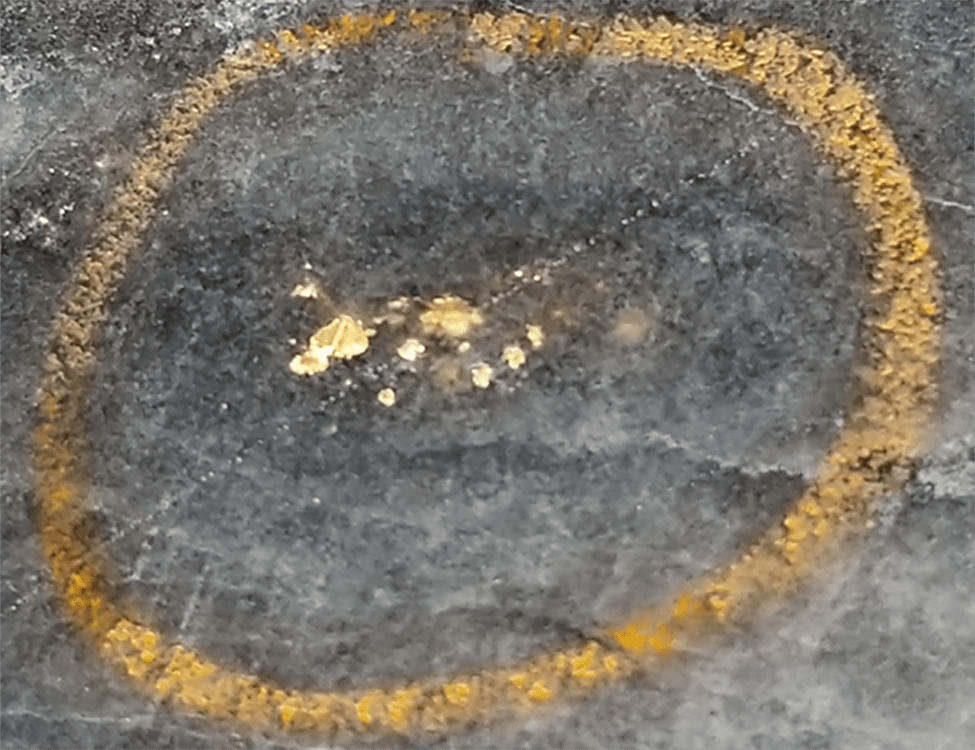 ChibougamauWindfall Lake DigiGeoData