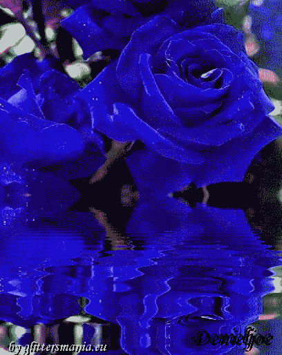 La Rosa Blu Su Le Baiser D Etoiles