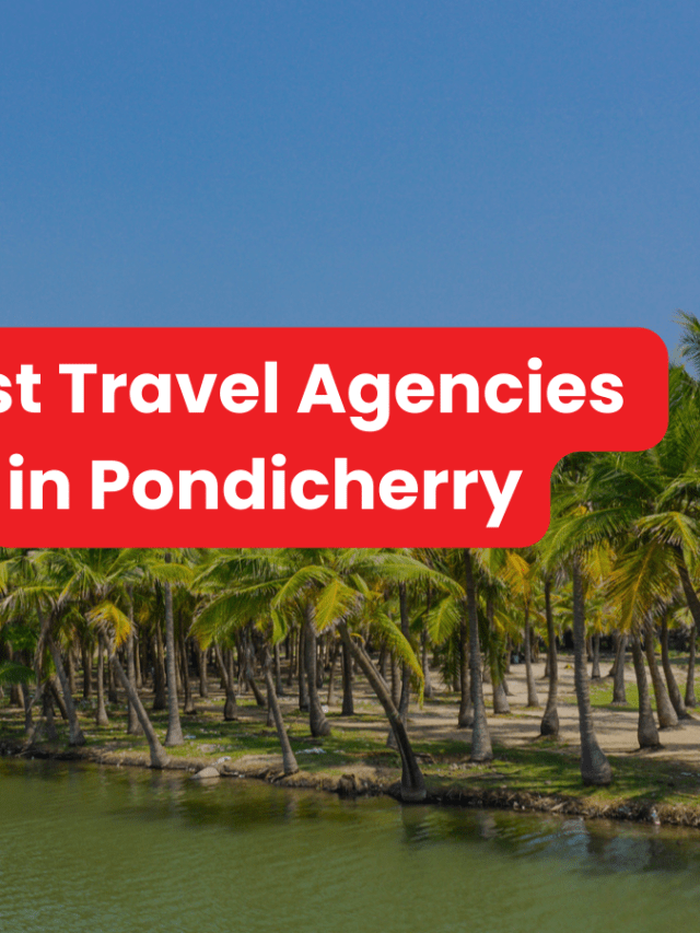 Looking for the best travel agencies in Pondicherry? Check out our top
