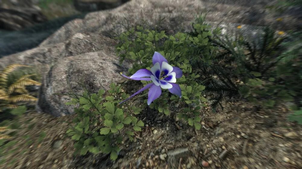 Skyrim Cathedral 3D Mountain Flowers mod enhances visuals of Flowers