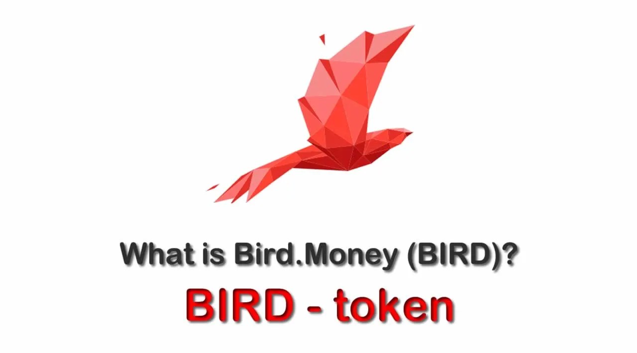 ما هي العملة الرقمية Bird/Bird.Money مشروعها و معلومات عنها