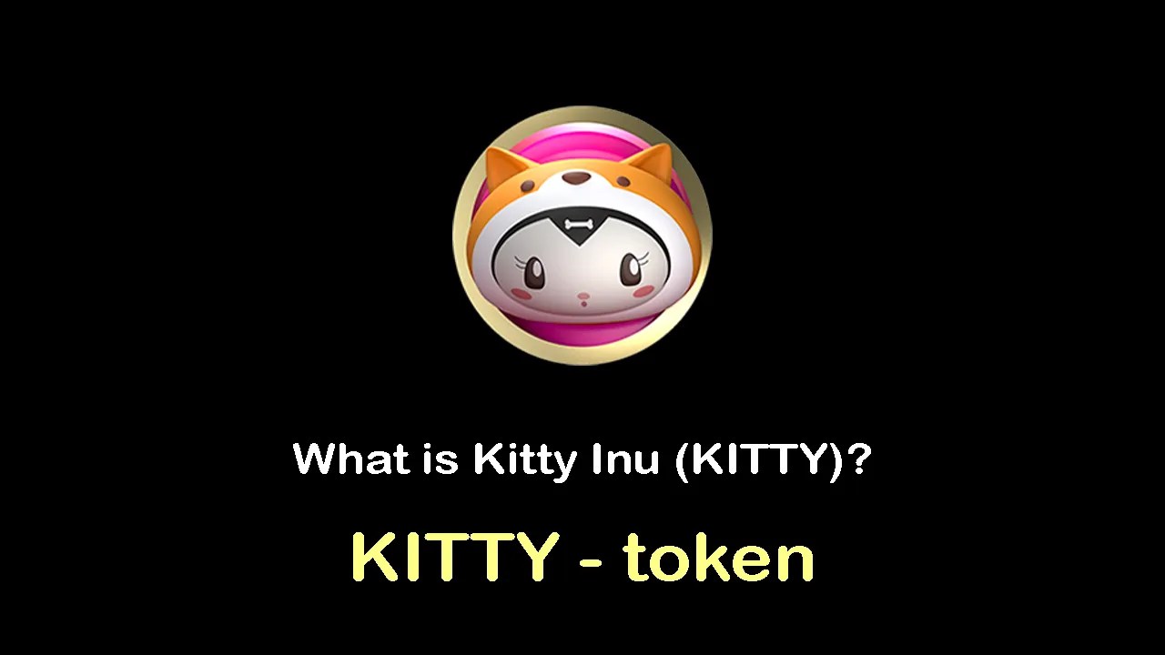 ما هي العملة الرقمية Kitty / Kitty Inu مشروعها و معلومات عنها