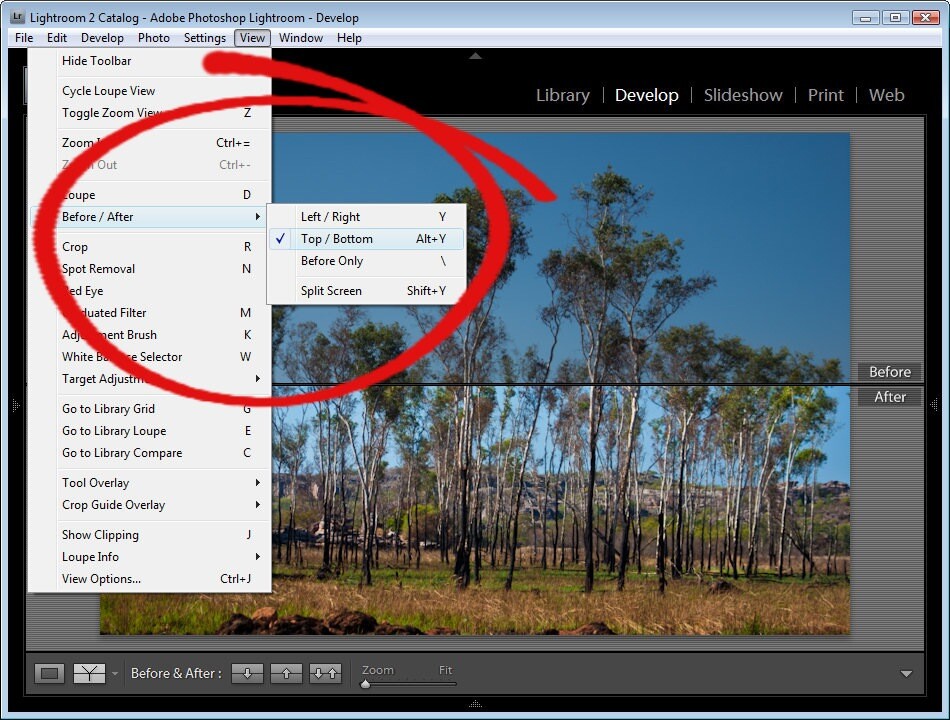 Before After Photoshop Shortcut