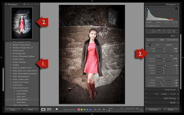 A Concise Guide to Lightroom Develop Presets