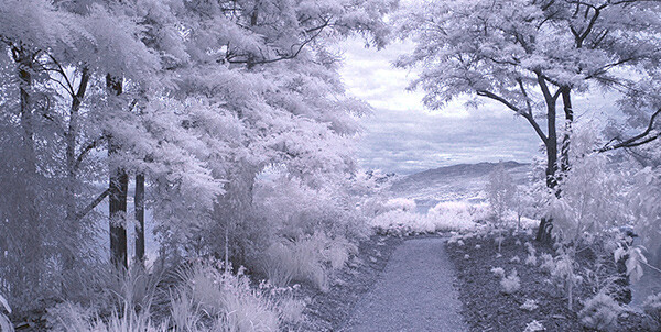 How to do Surreal Digital Infrared Photography Without