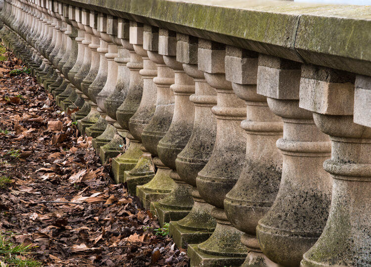 A Beginner's Guide to Focus Stacking