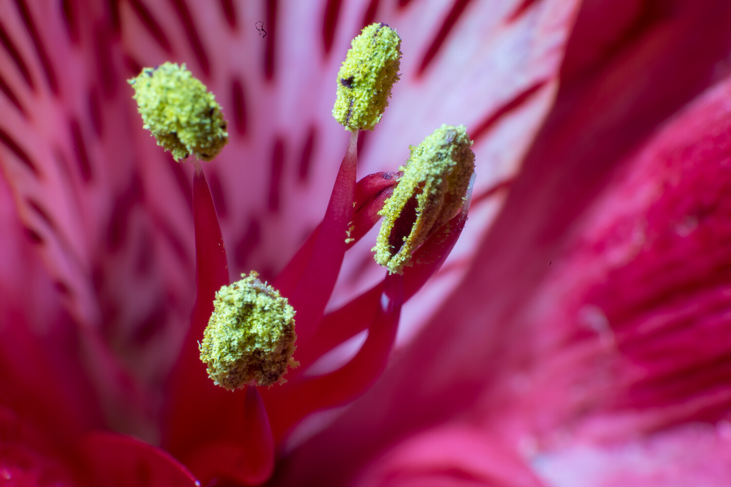 digital-photography-school.com