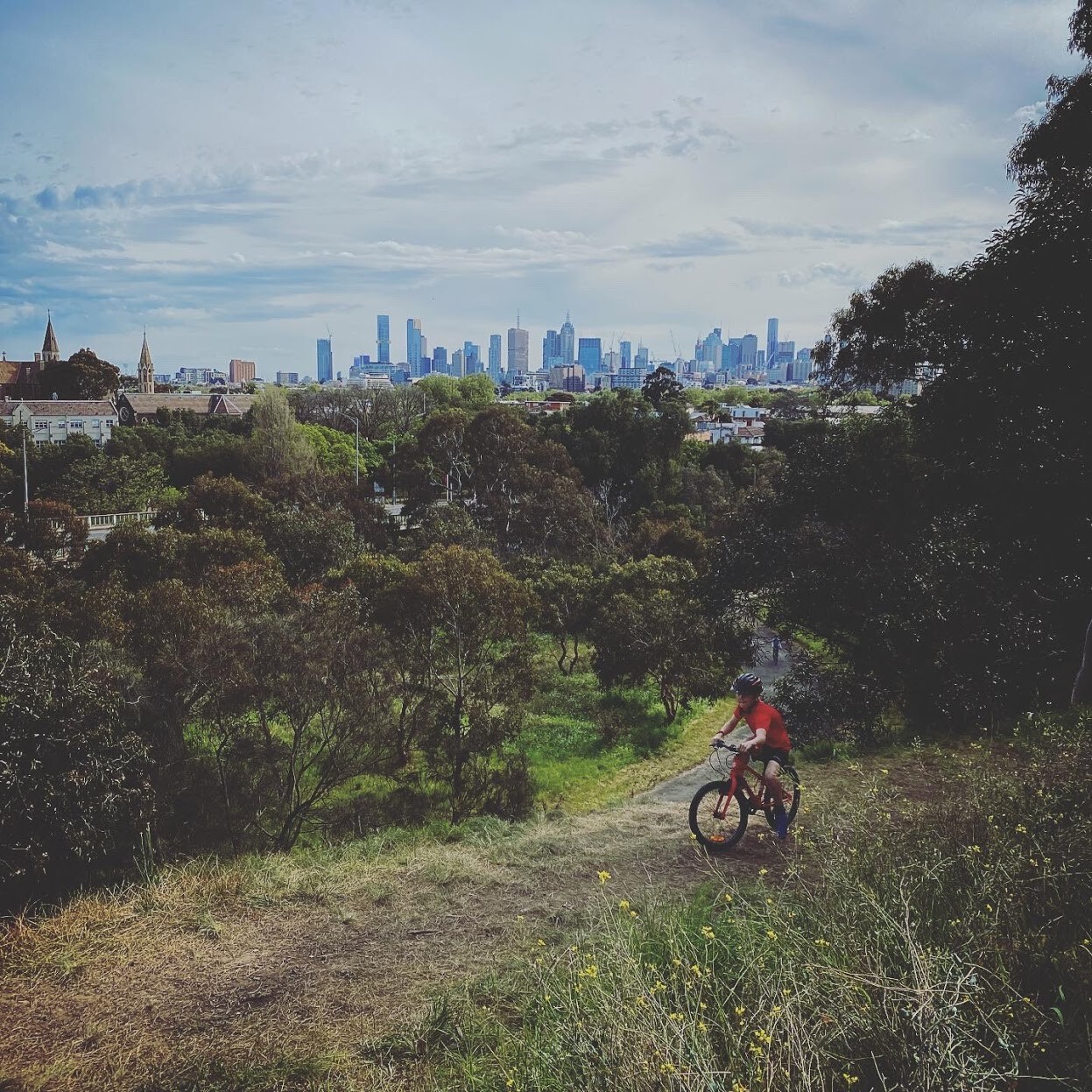 Desafio fotográfico semanal - apenas telefones