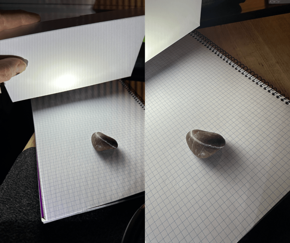 dPS BiWeekly Photo Challenge Hard Light vs Soft Light