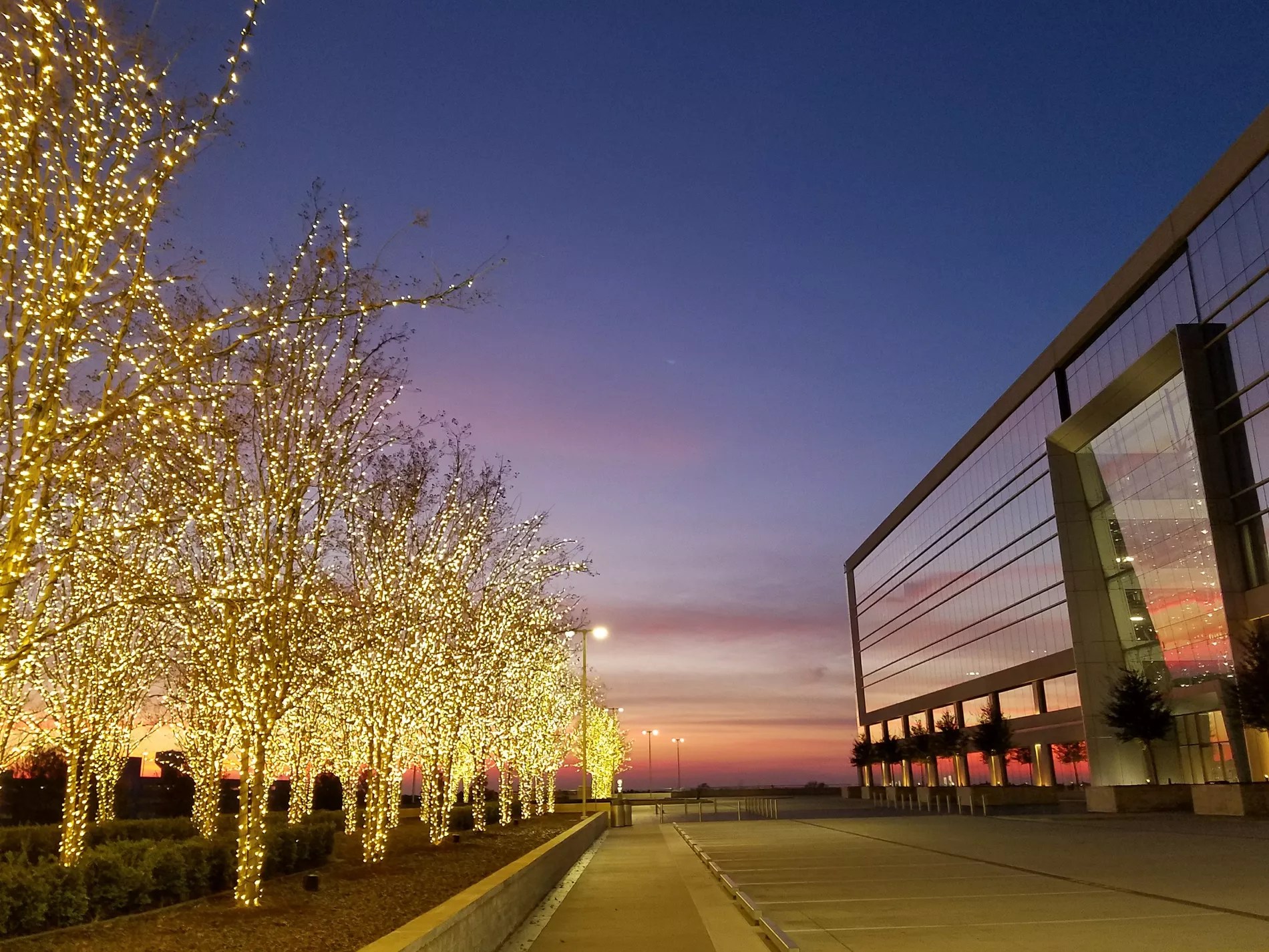 Things to Do in Frisco, TX | Hotel Indigo Frisco