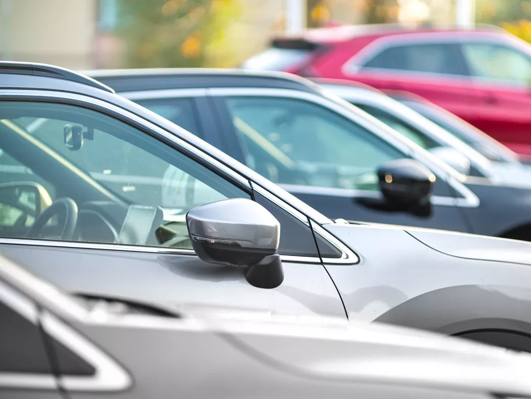 Pet Friendly Hotels San Diego Hotel Indigo San Diego Gaslamp Quarter