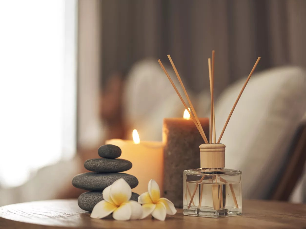 Pet Friendly Hotels Vancouver WA Hotel Indigo Vancouver DWTN