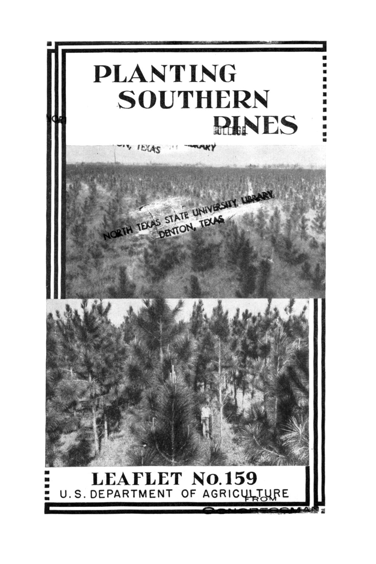 Planting Southern Pines. Page 1 UNT Digital Library