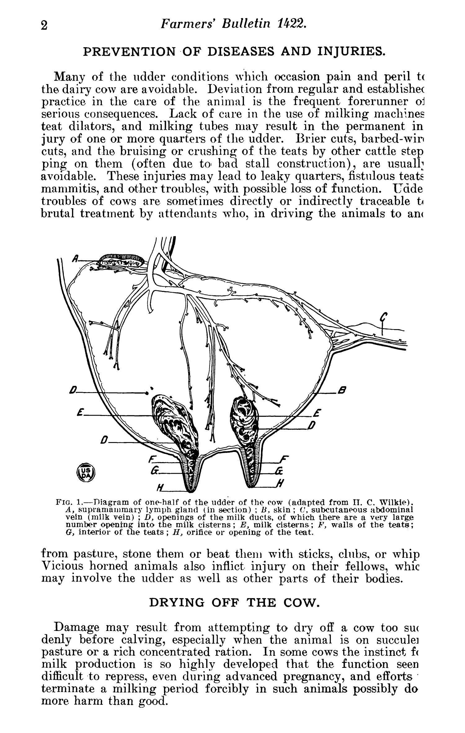 Udder Diseases of Dairy Cows Page 2 UNT Digital Library