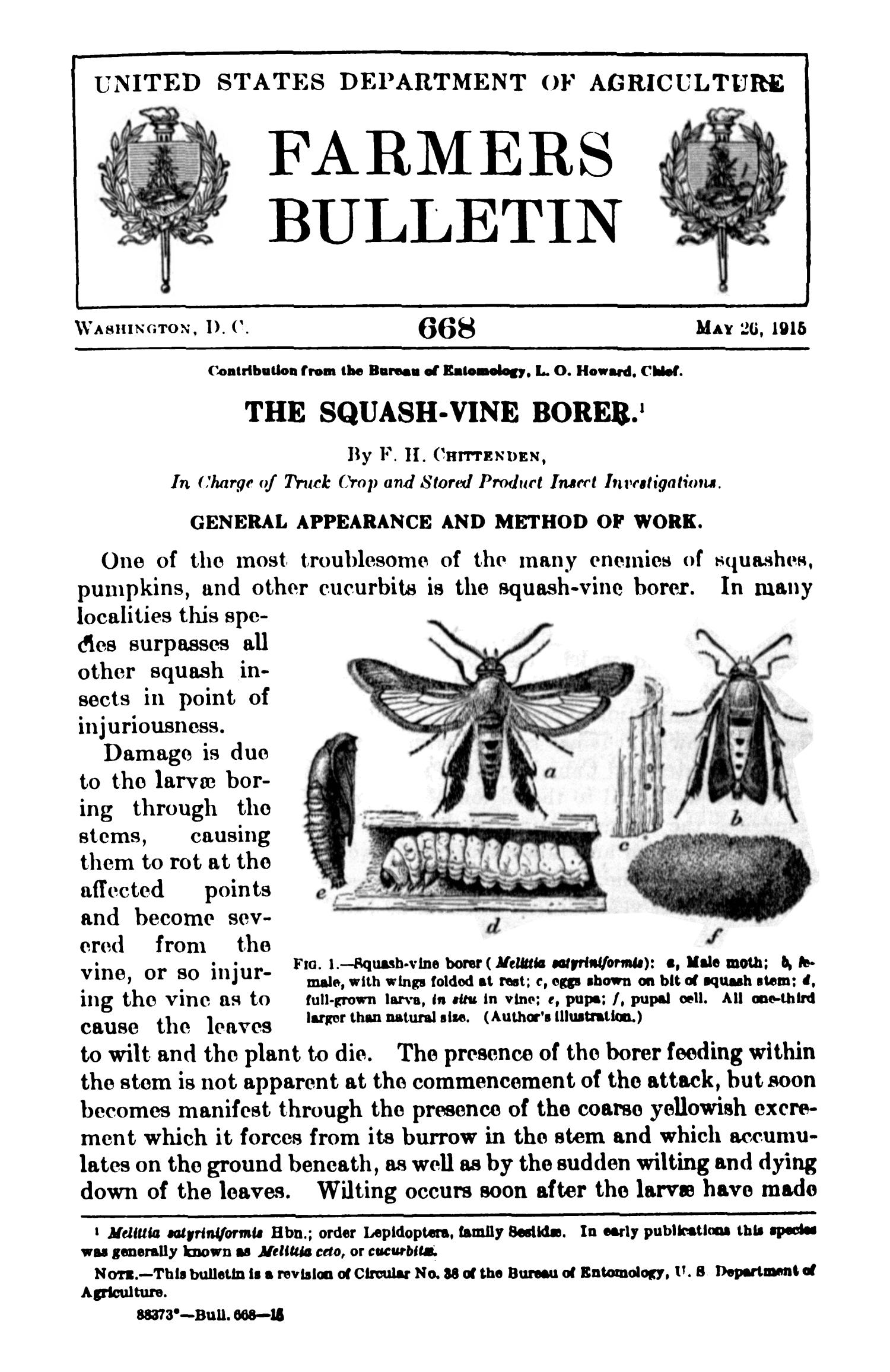 The SquashVine Borer UNT Digital Library