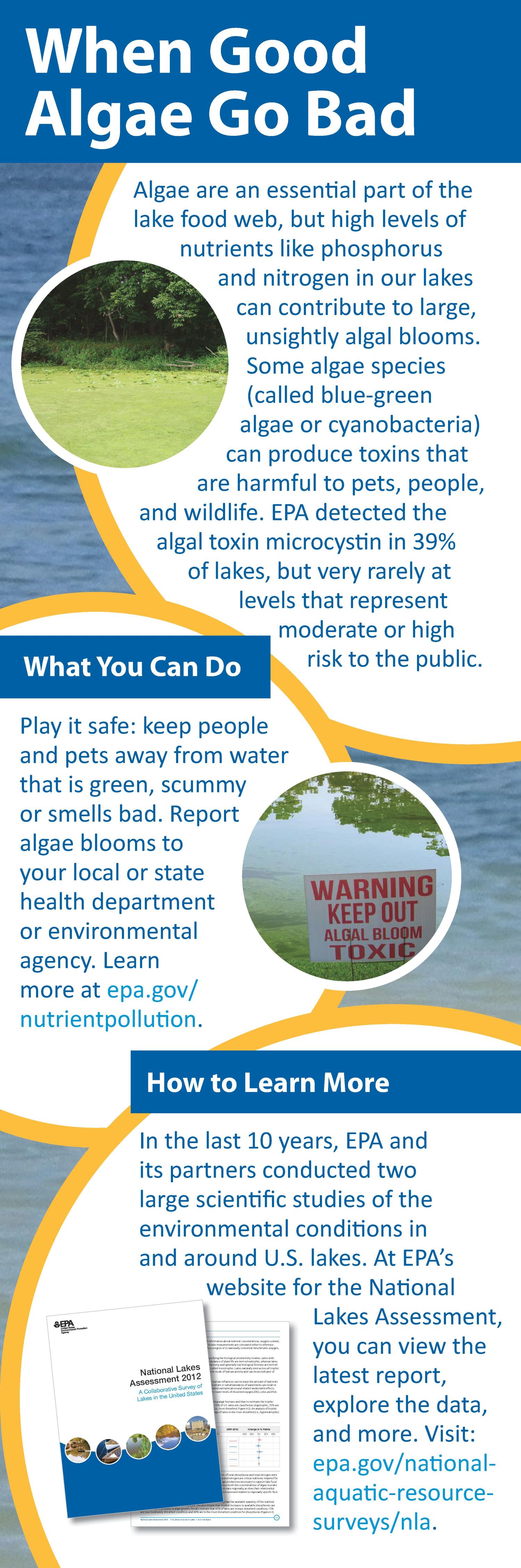 When Good Algae Go Bad UNT Digital Library