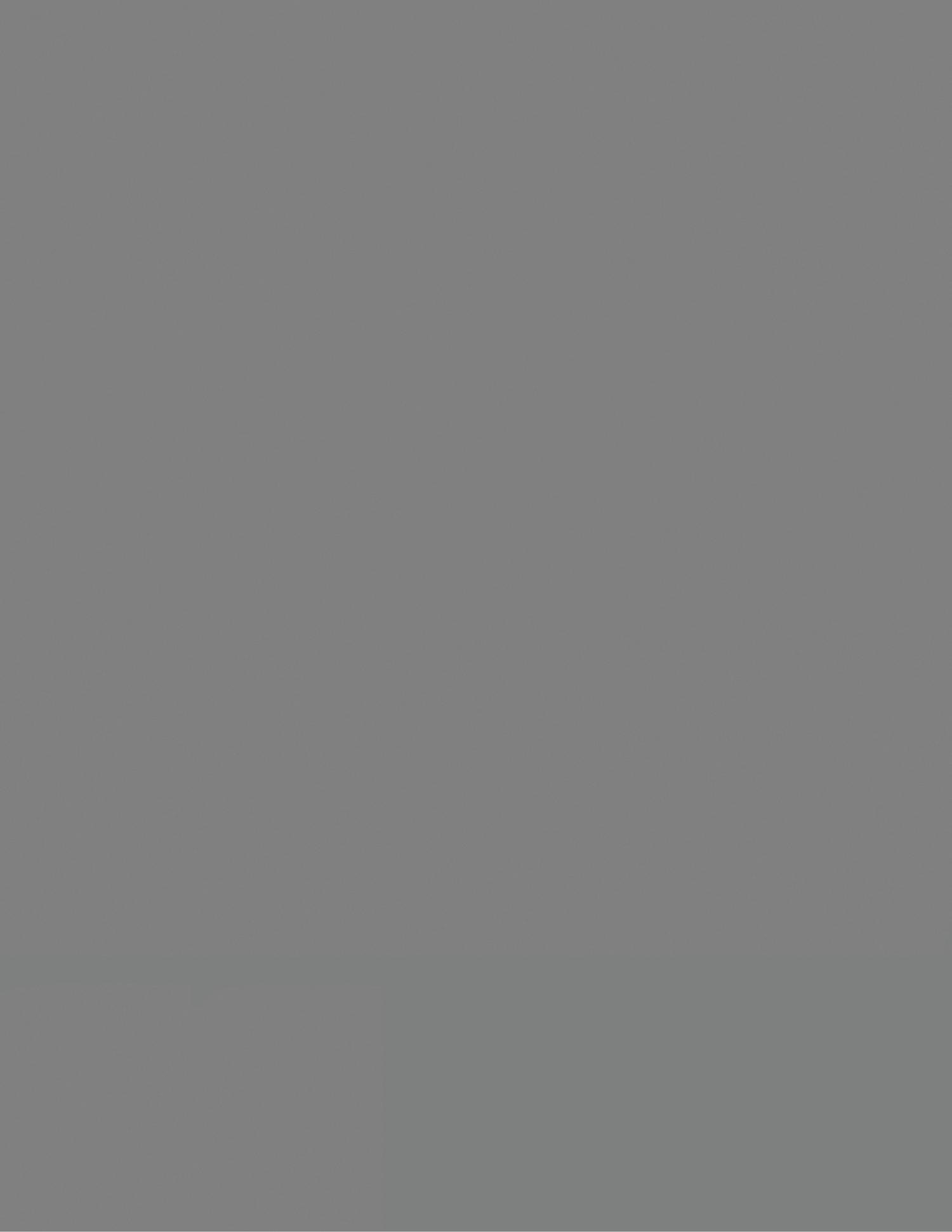 Quadrennial Homeland Security Review Report UNT Digital Library