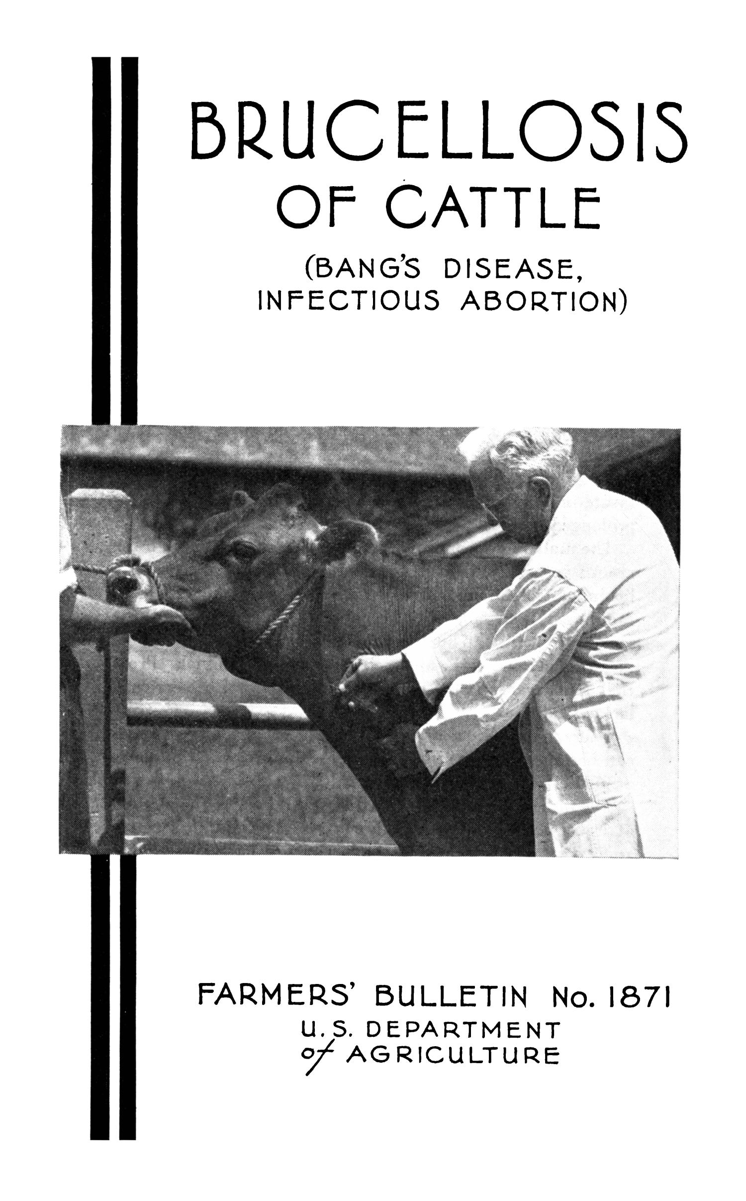Brucellosis of Cattle (Bang's Disease, Infectious Abortion) Digital