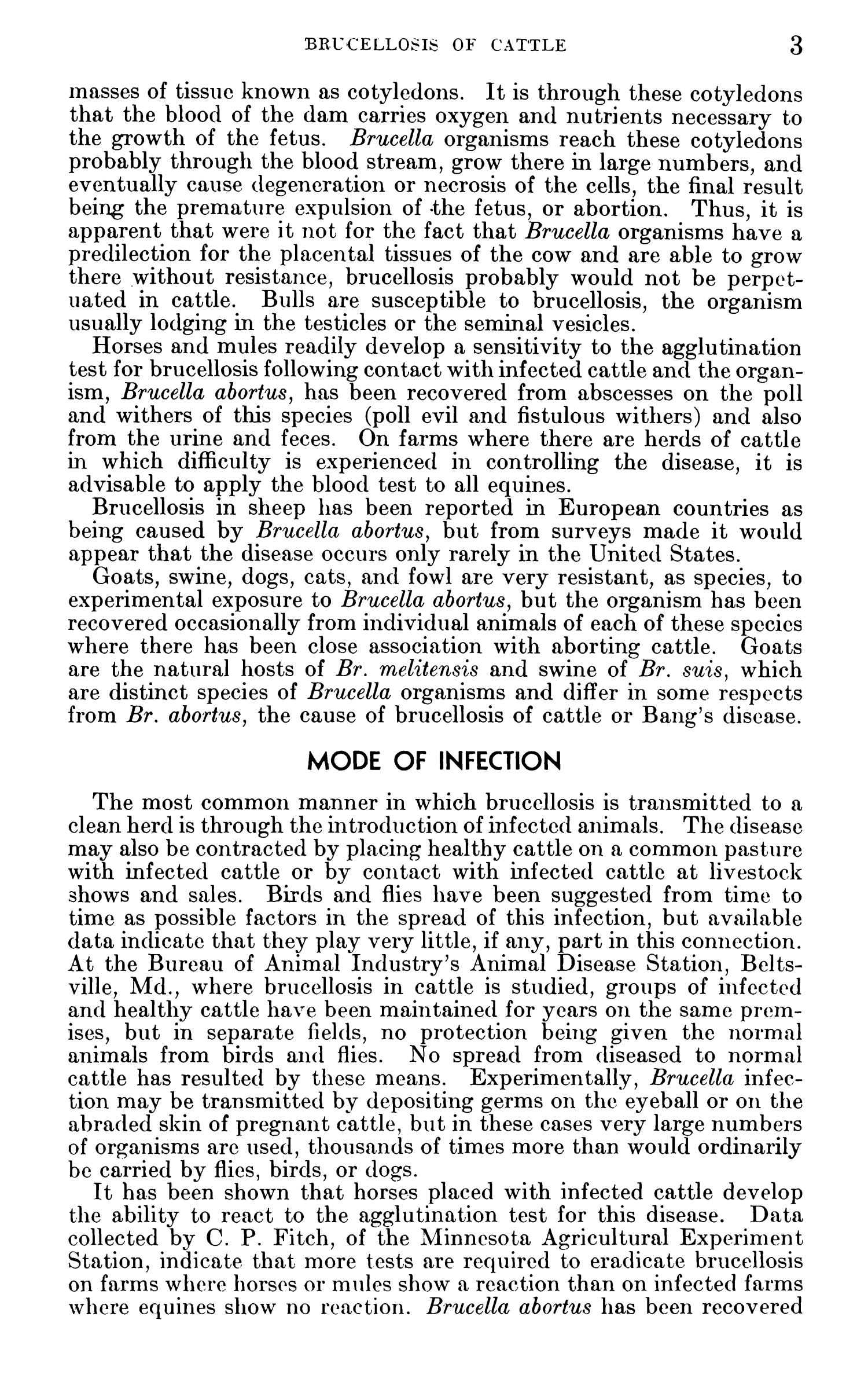 Brucellosis of Cattle (Bang's Disease, Infectious Abortion) Page 3