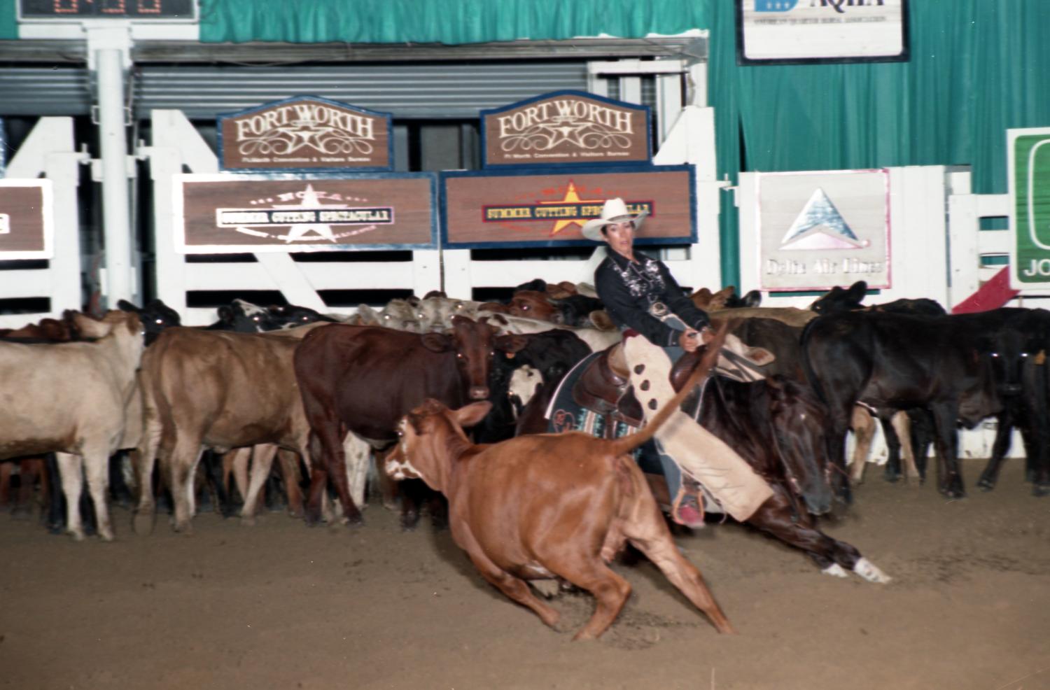 Cutting Horse Competition Image 1997_D106_27 UNT Digital Library