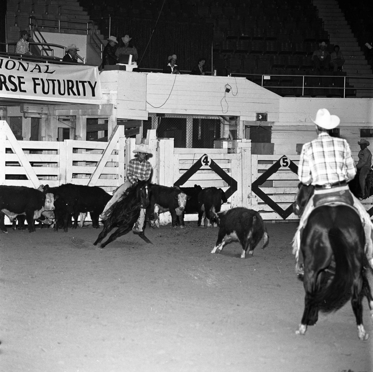 [National cutting horse futurity] UNT Digital Library