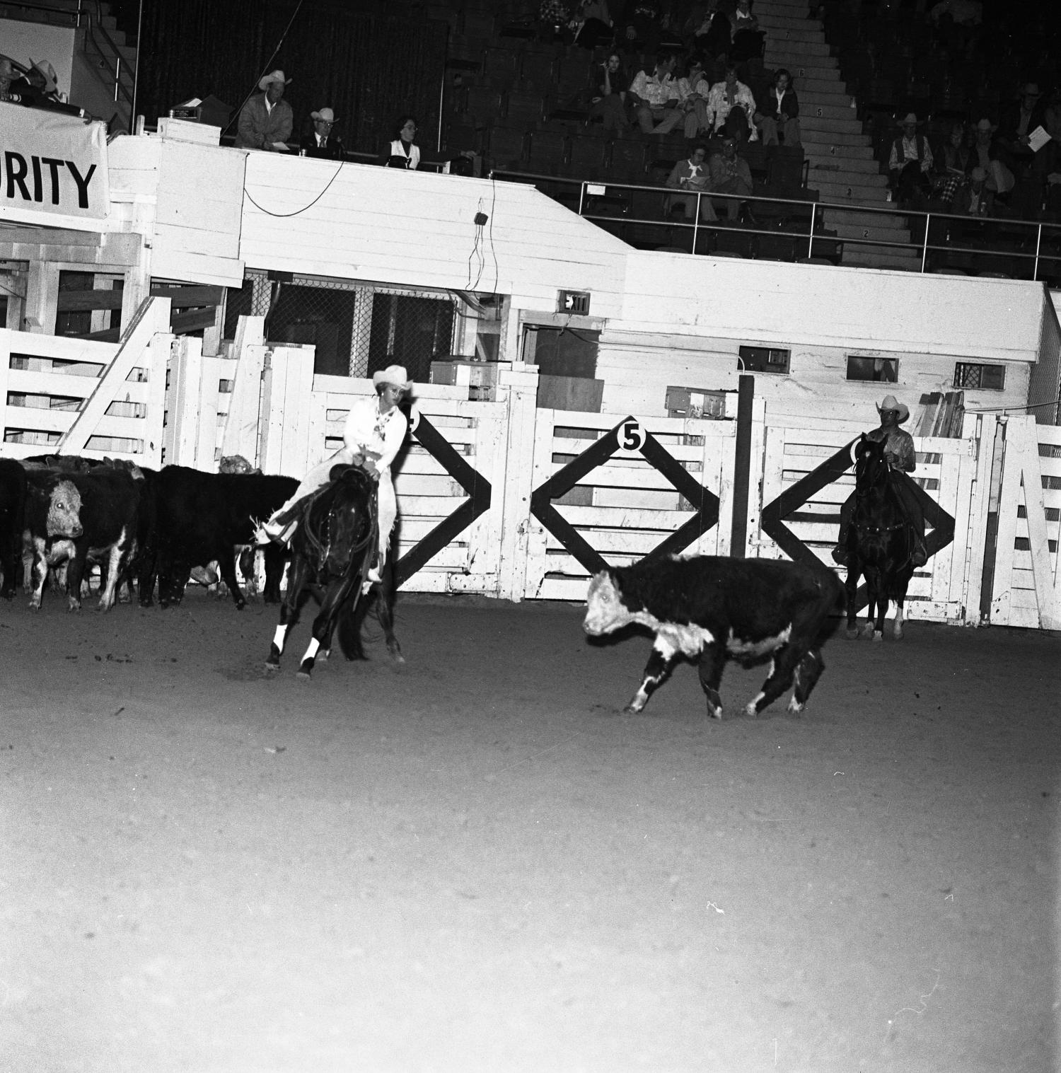 [National cutting horse futurity] UNT Digital Library