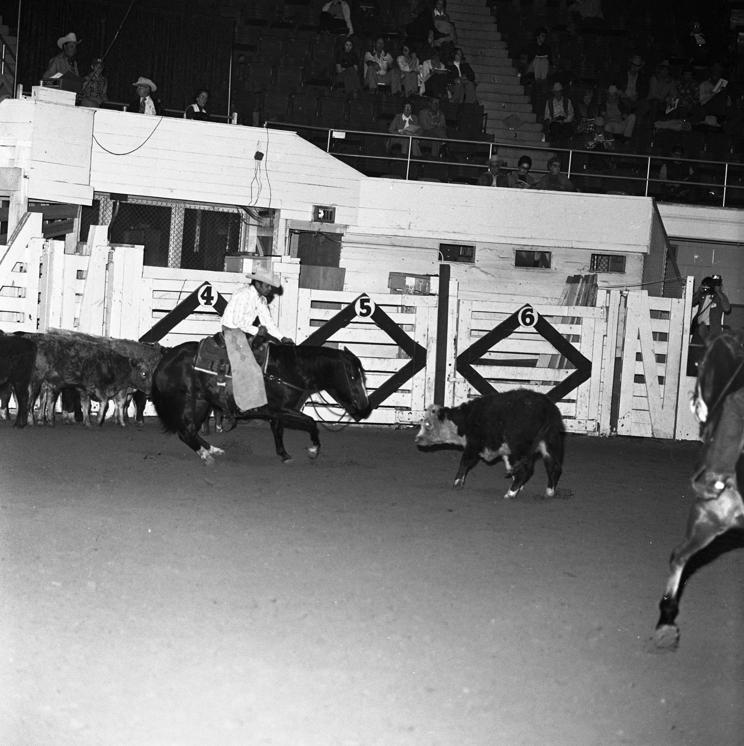 [National cutting horse futurity] UNT Digital Library