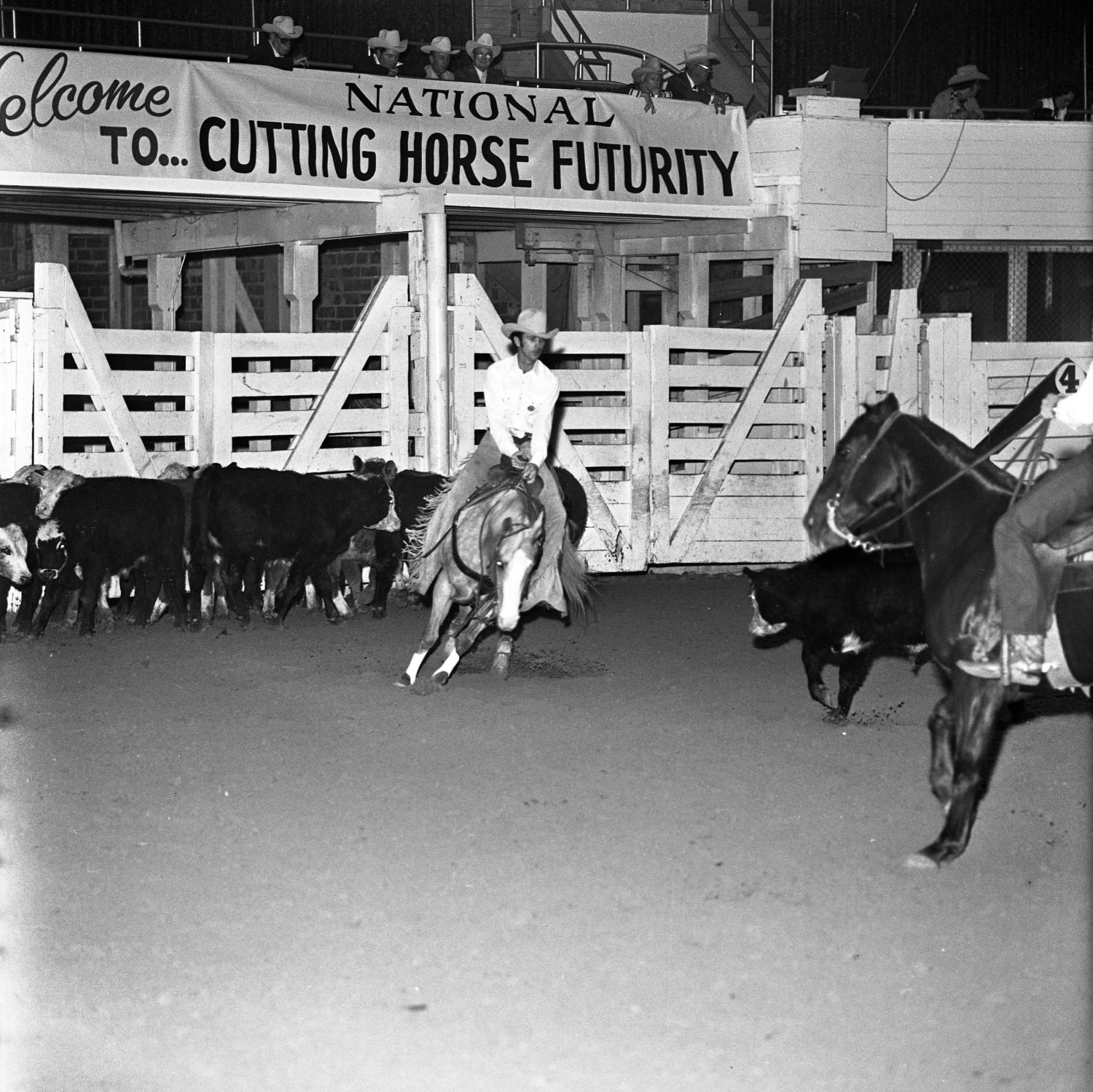 [National cutting horse futurity] UNT Digital Library