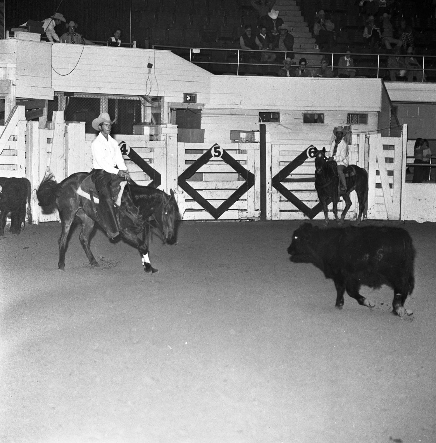 [National cutting horse futurity] UNT Digital Library