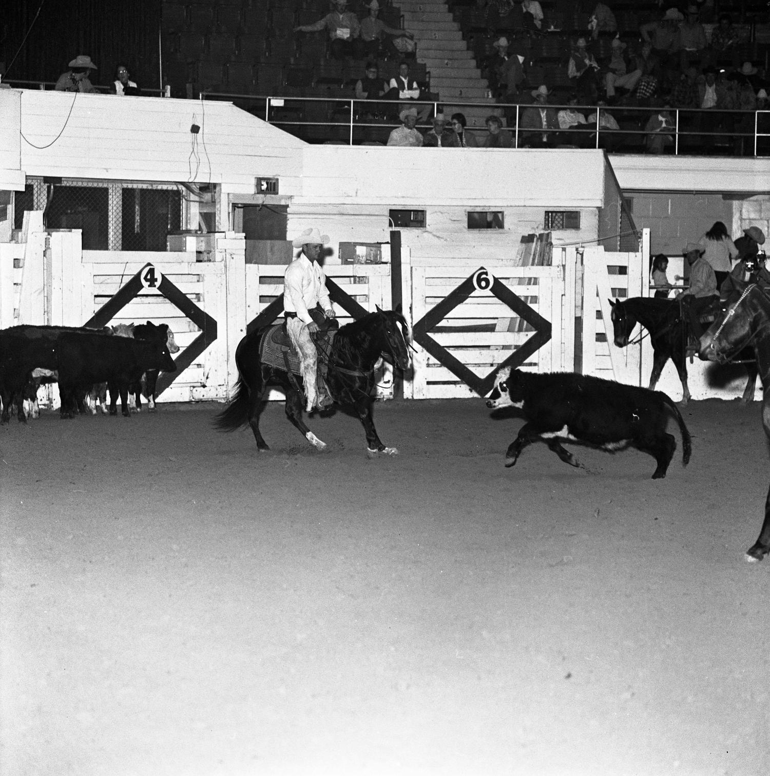 [National cutting horse futurity] UNT Digital Library