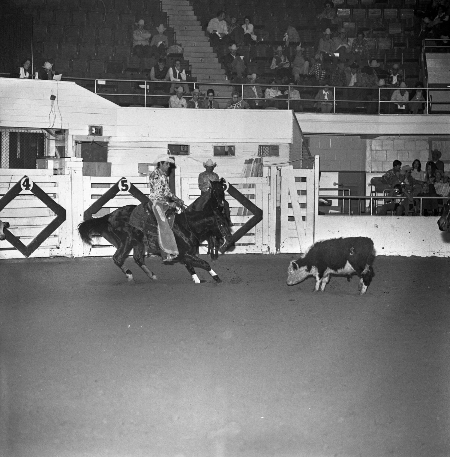 [National cutting horse futurity] UNT Digital Library