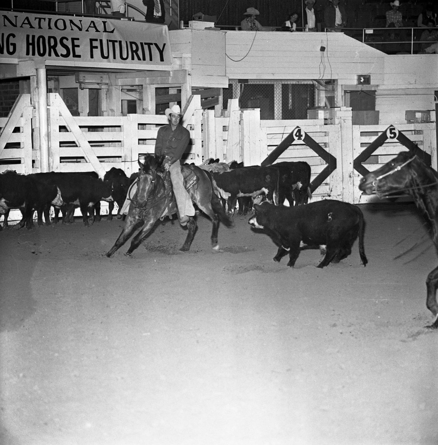 [National cutting horse futurity] UNT Digital Library