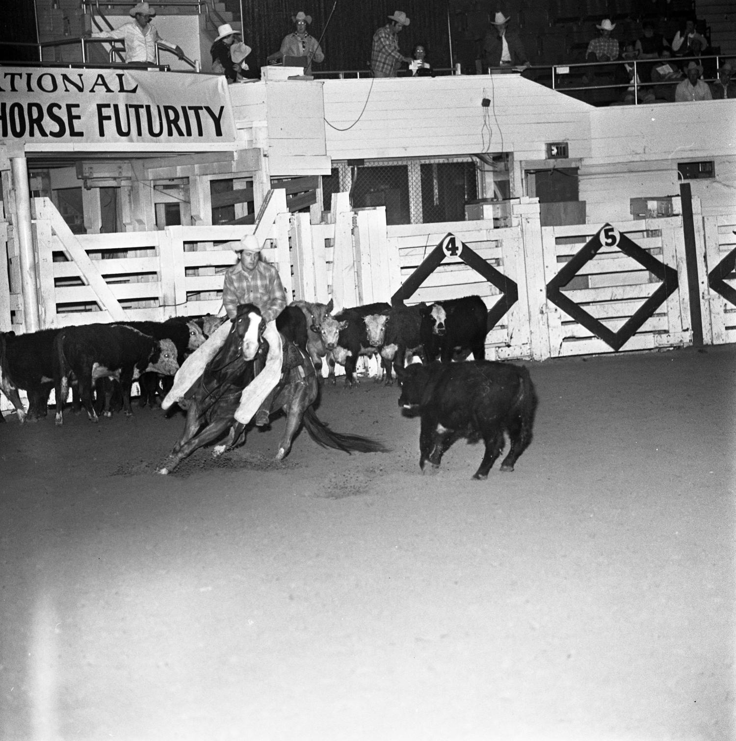 [National cutting horse futurity] UNT Digital Library