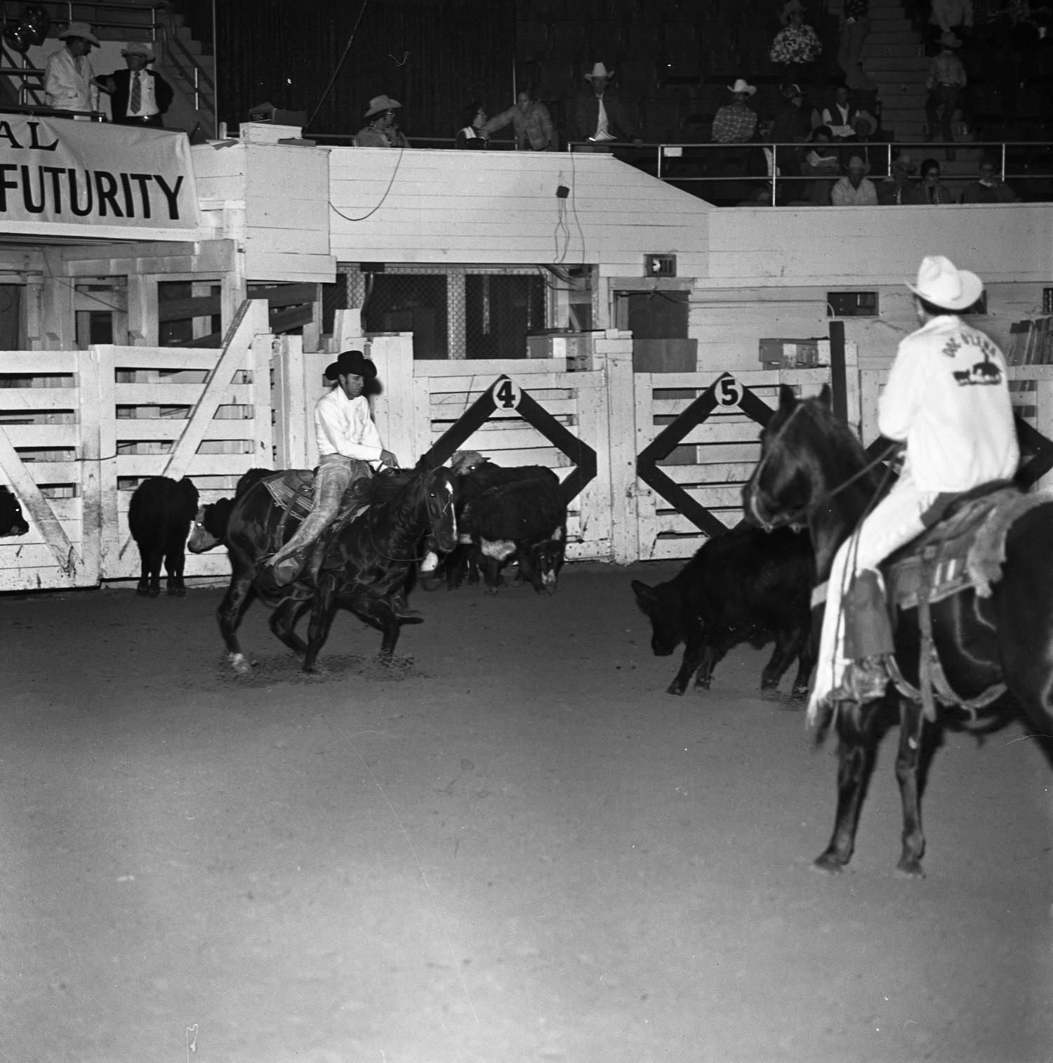 [National cutting horse futurity] UNT Digital Library
