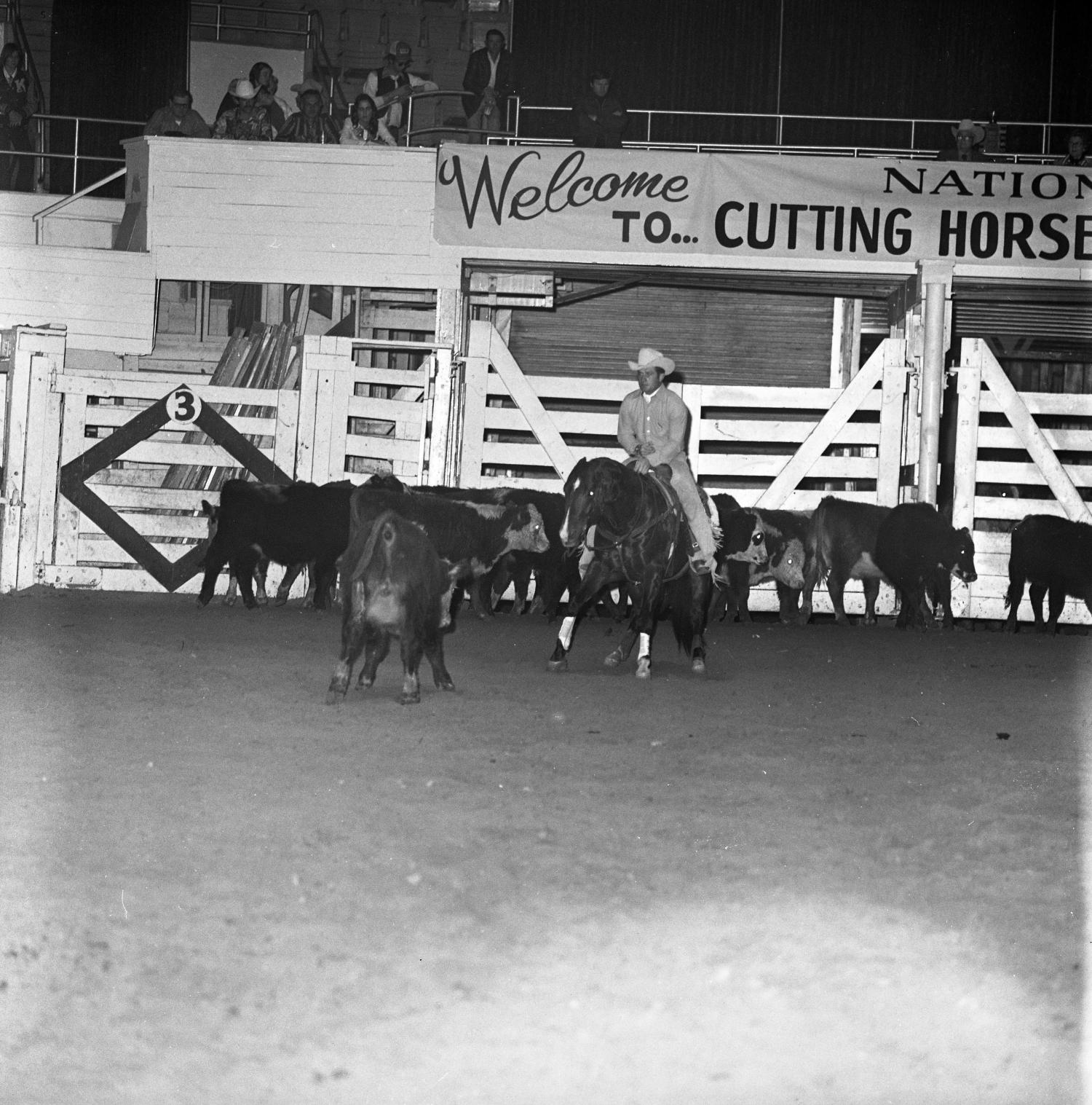[National cutting horse futurity] UNT Digital Library