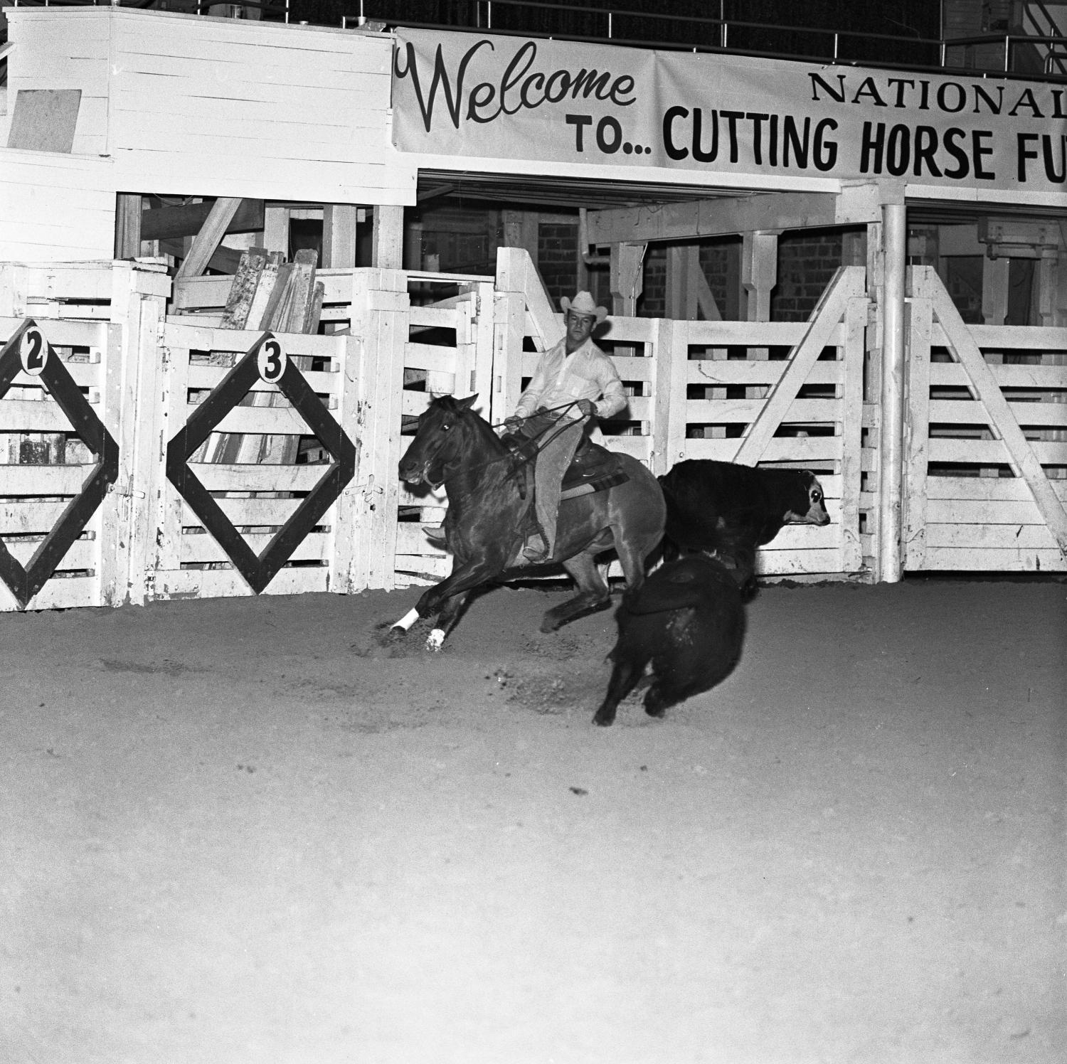 [National cutting horse futurity] UNT Digital Library