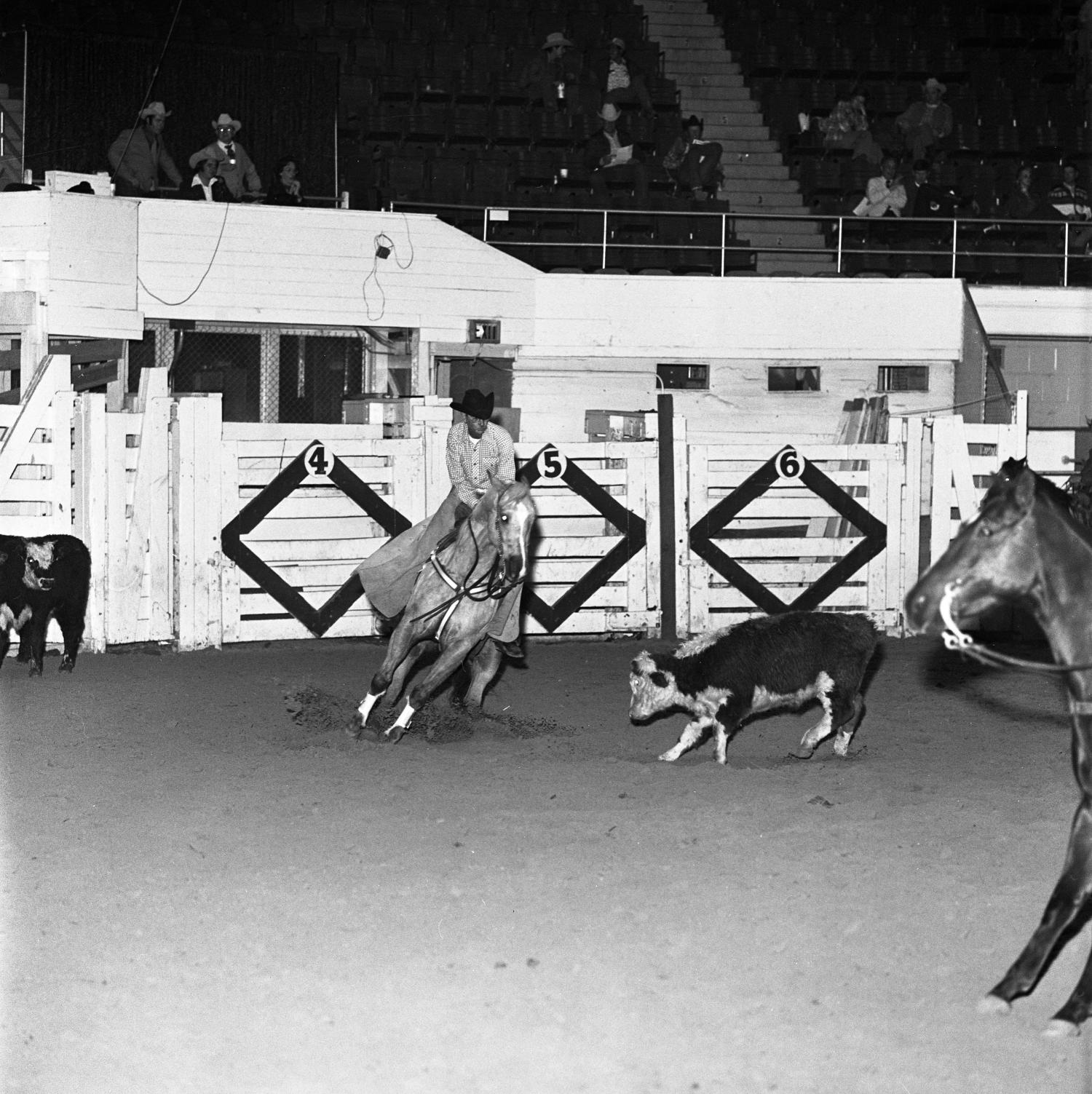 [National cutting horse futurity] UNT Digital Library