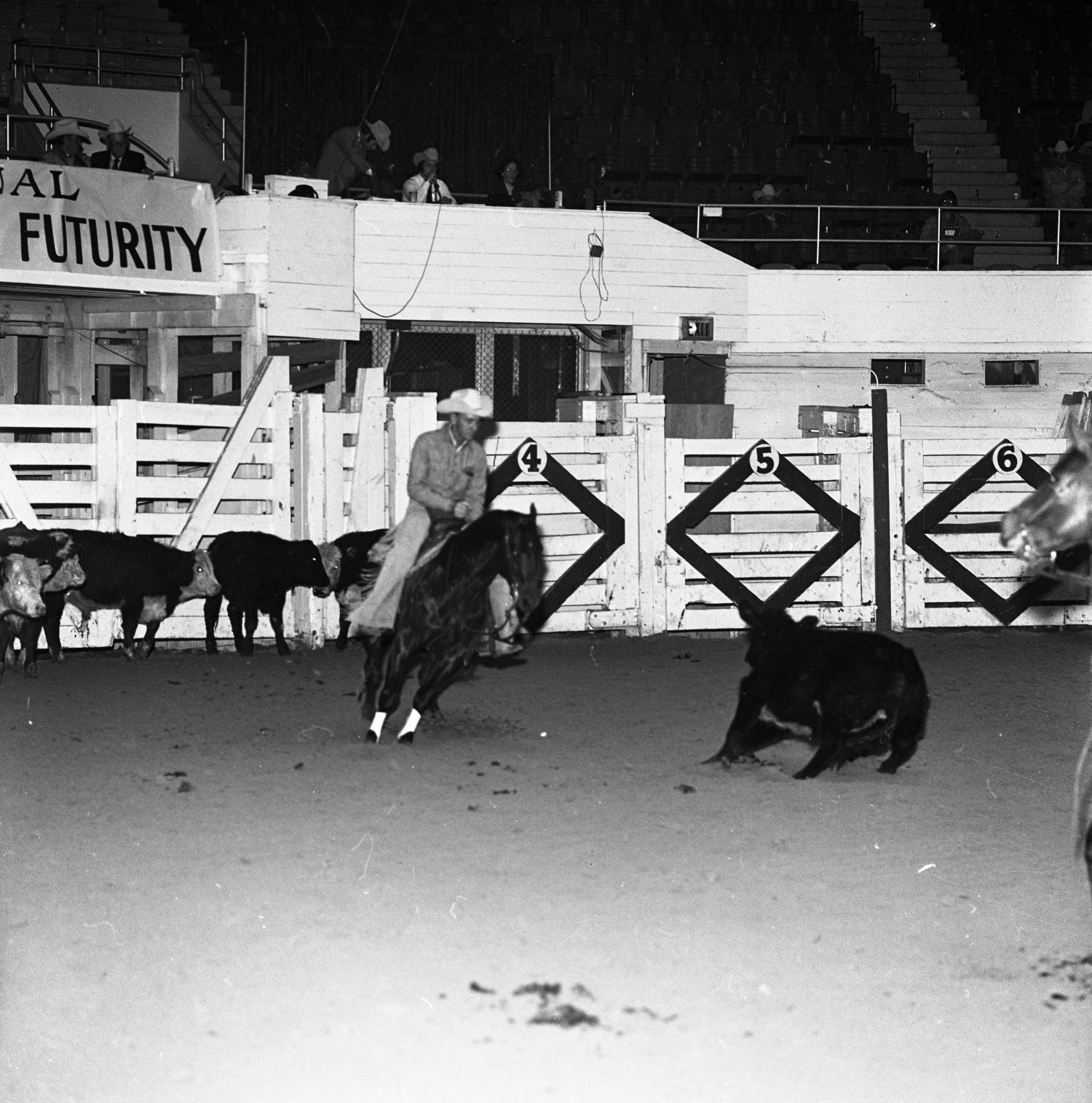 [A Glimpse into Grandeur Cowboys' Choreographed Spectacle at the