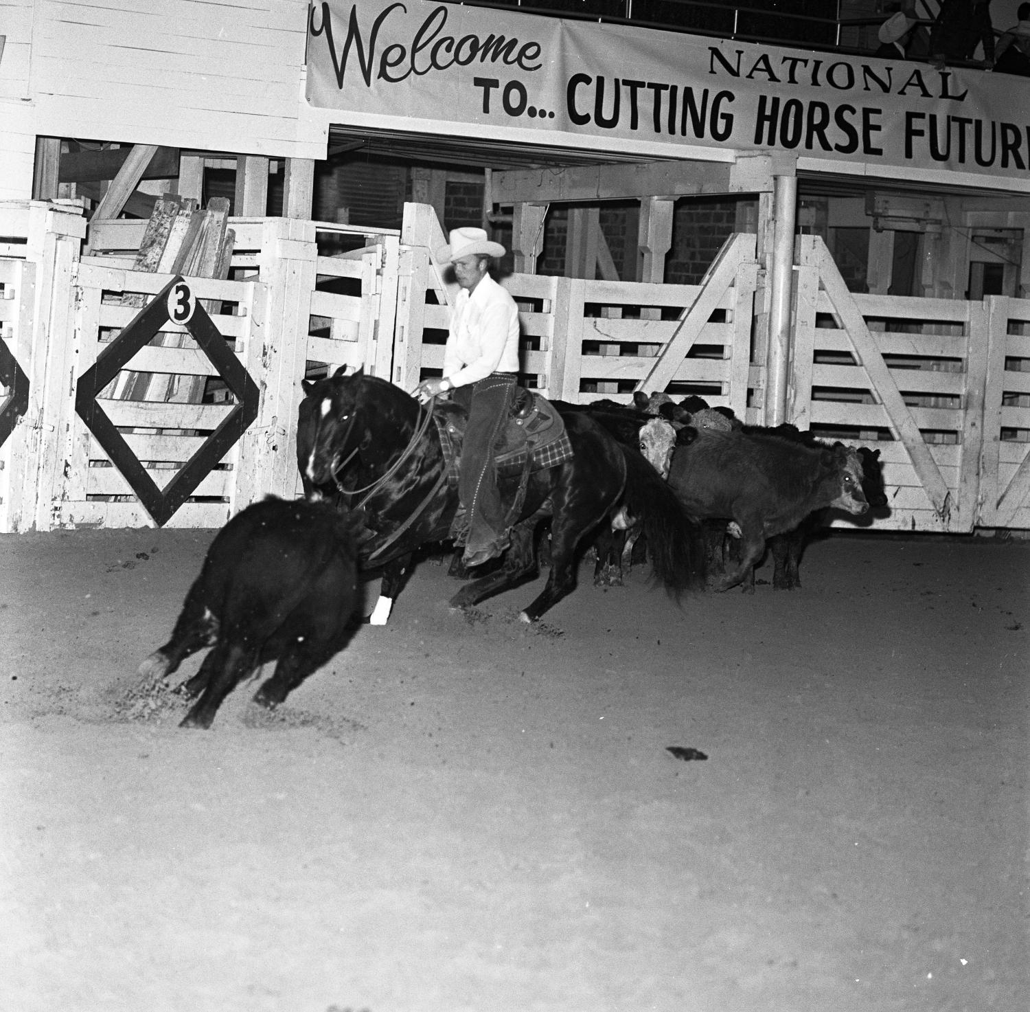 [A Snapshot of Equestrian Harmony Cowboys' Dance at the National