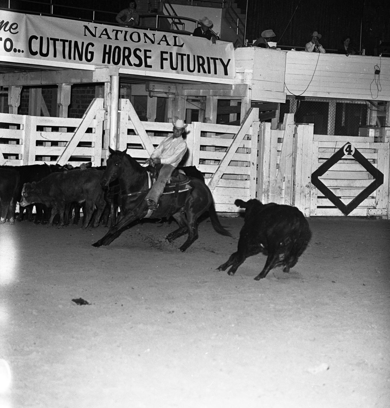 [A Captured Sonata The Harmony of Cowboys and Steeds in the Cutting