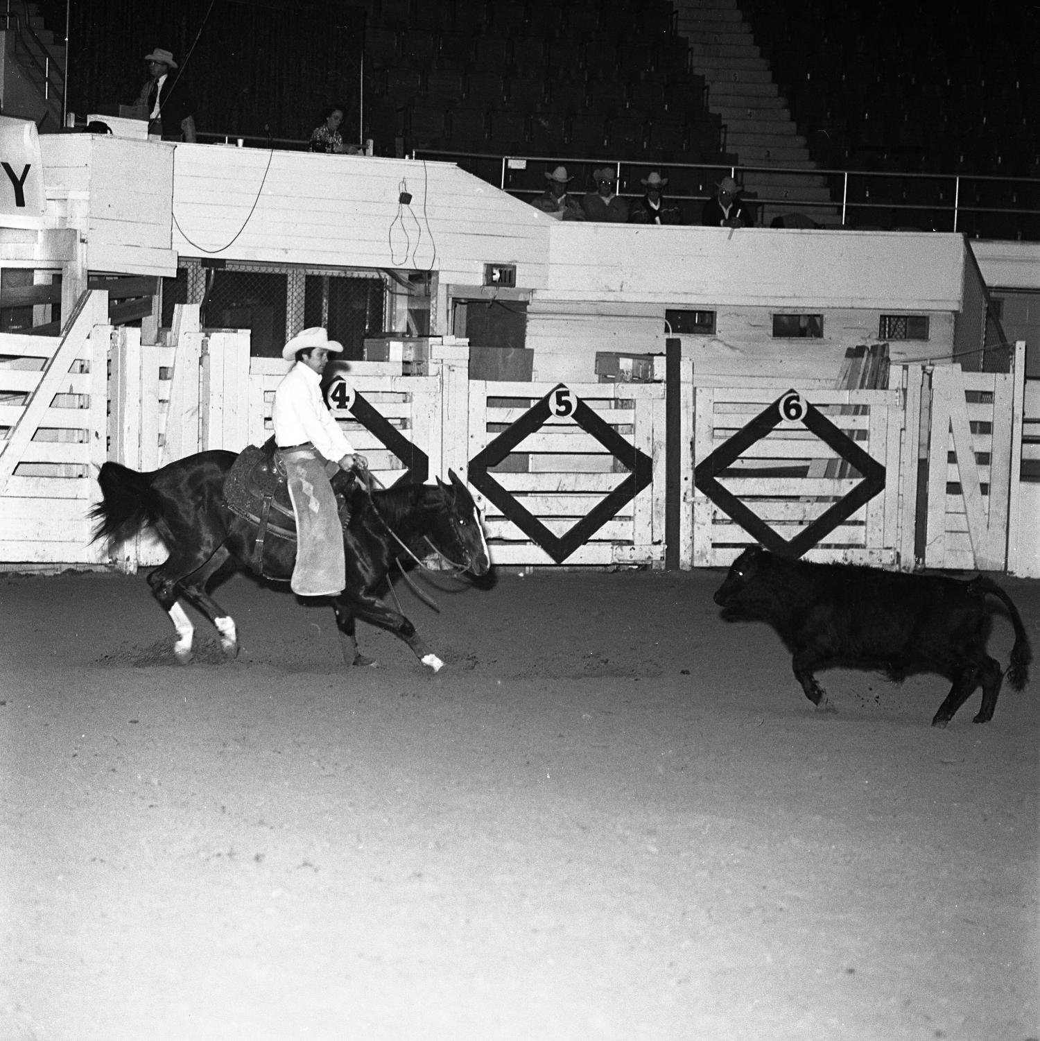 [A Pictorial Overture Equestrian Elegance Unleashed as Cowboys and