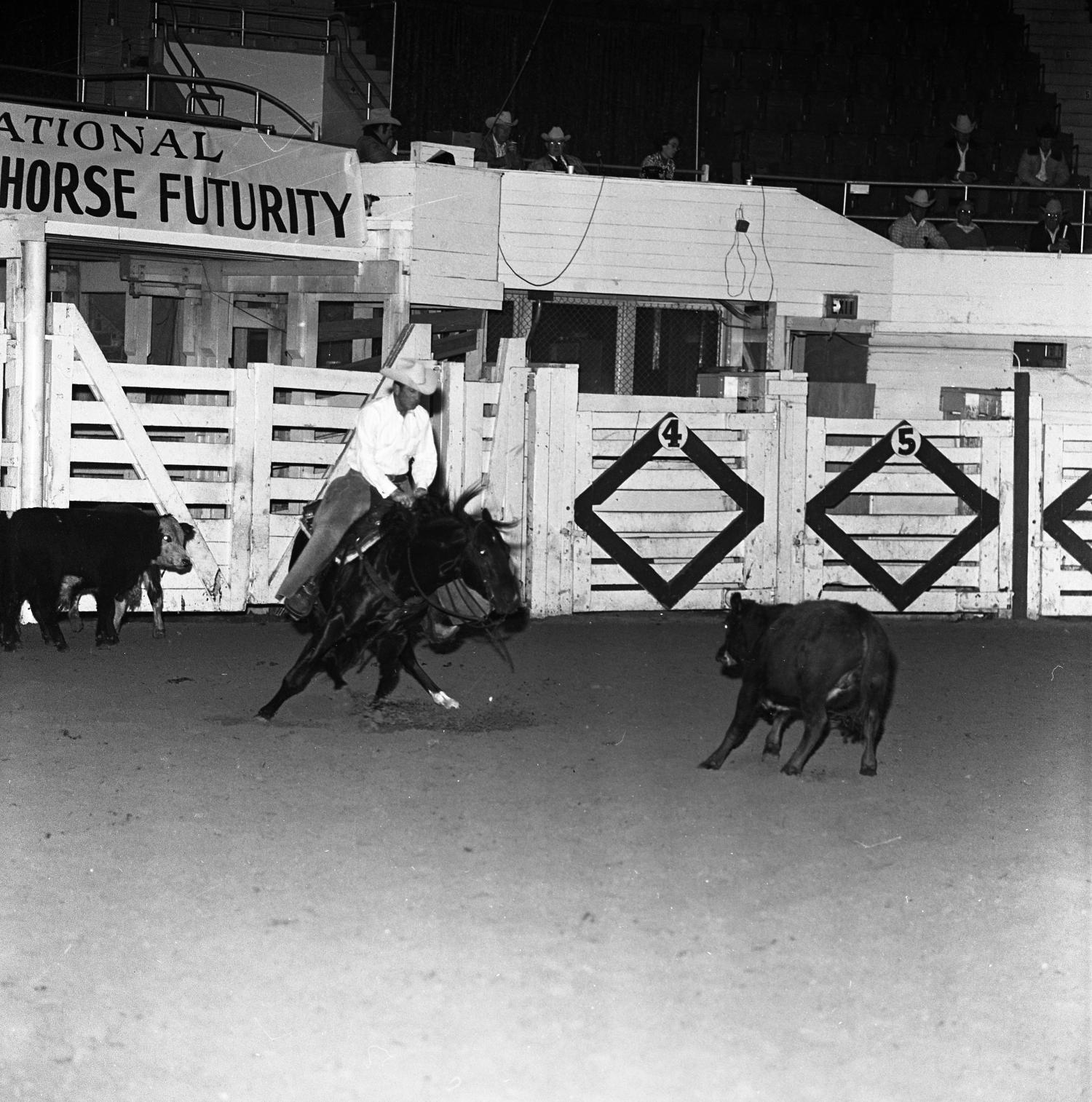 [A Photographic Serenade Cowboys and Horses in Harmony at the National