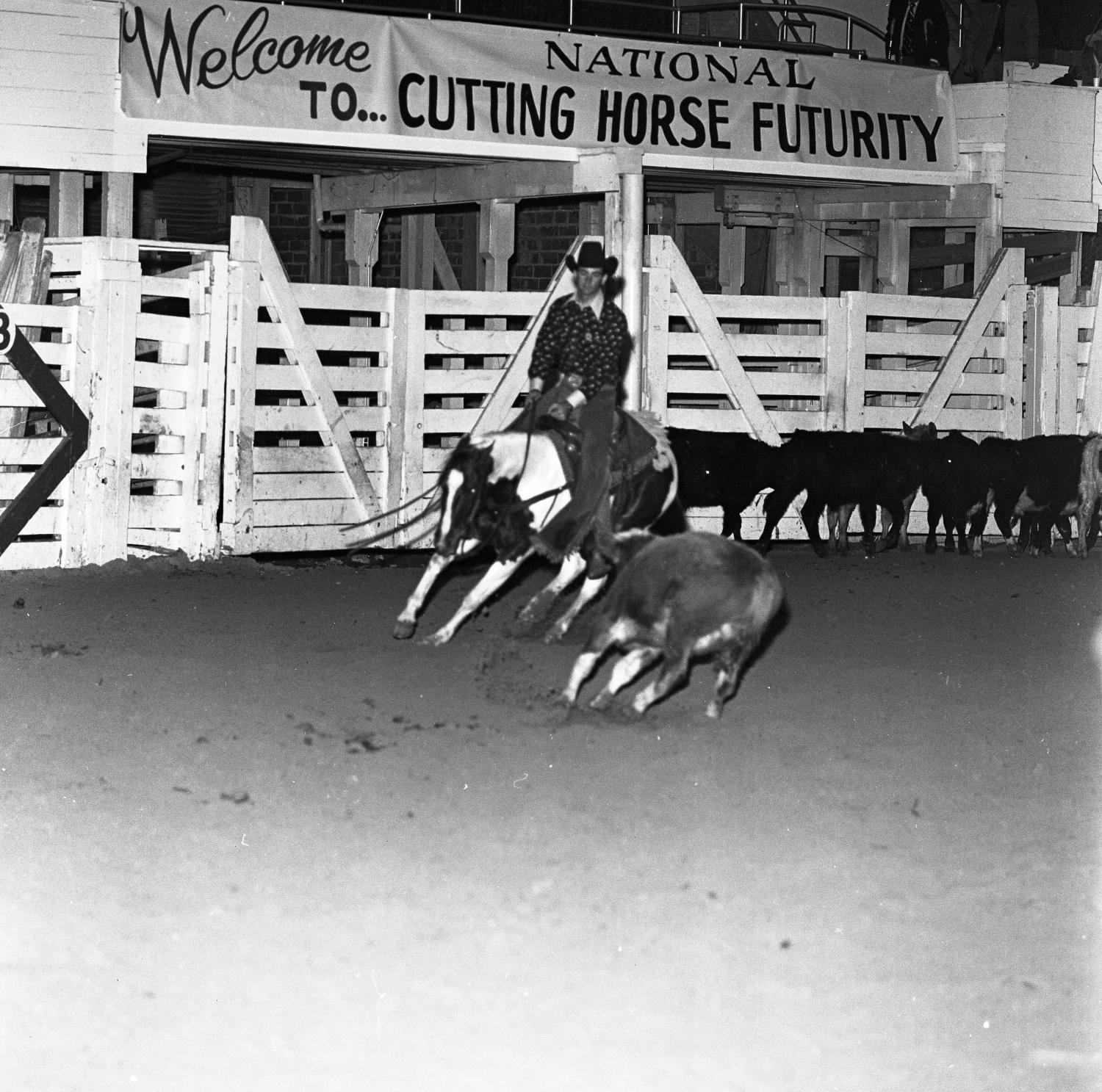 [A Glimpse Through the Lens Cowboys' Choreographed Harmony at the