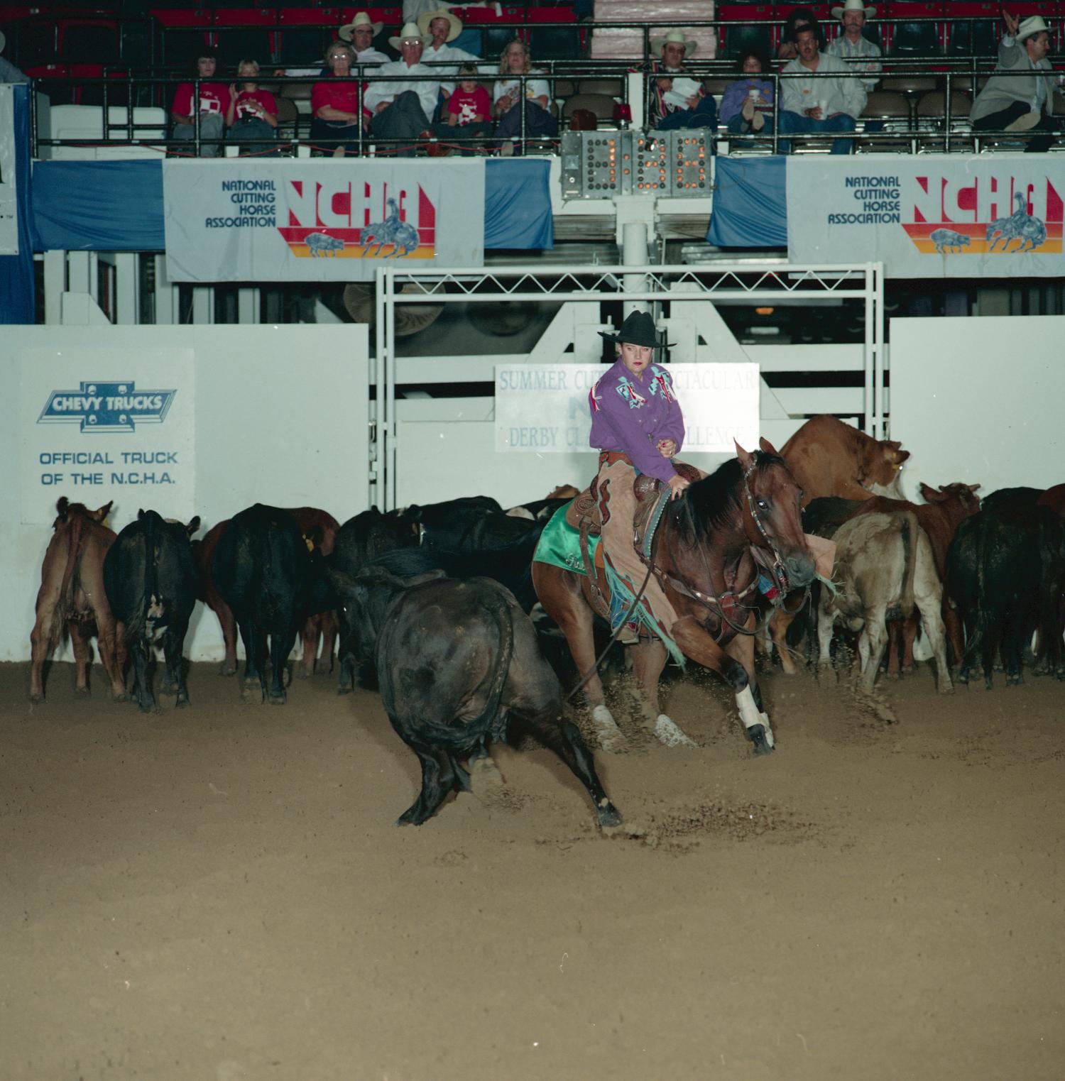 [Cutting Horse Competition Rambo Oak 1] UNT Digital Library