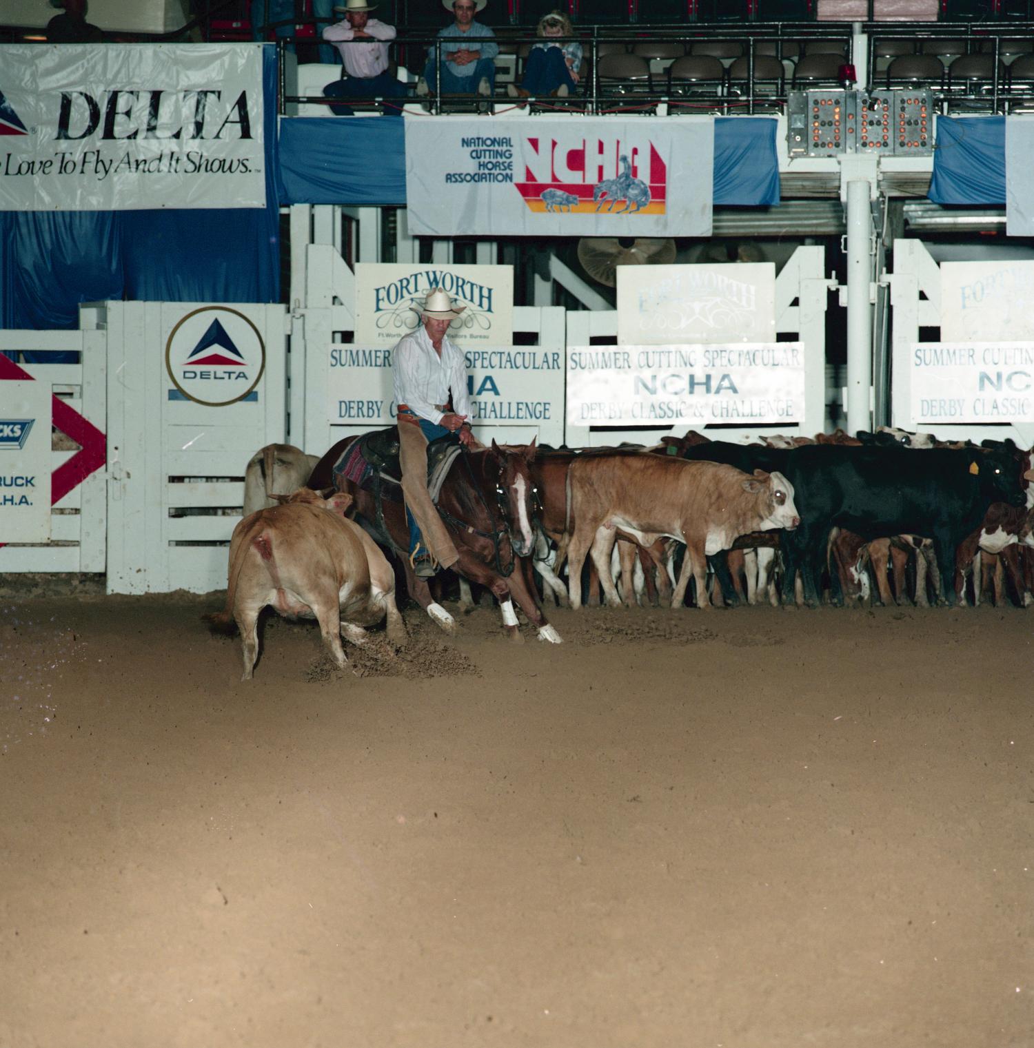 [Cutting Horse Competition Doc Persnickety 1] UNT Digital Library