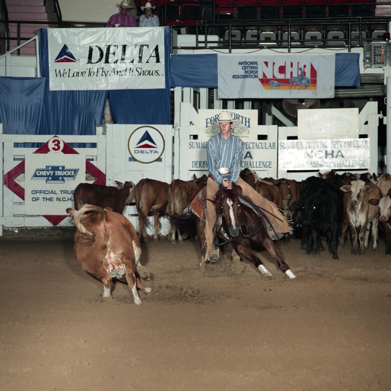 [Cutting Horse Competition Shatari Lena 4] UNT Digital Library