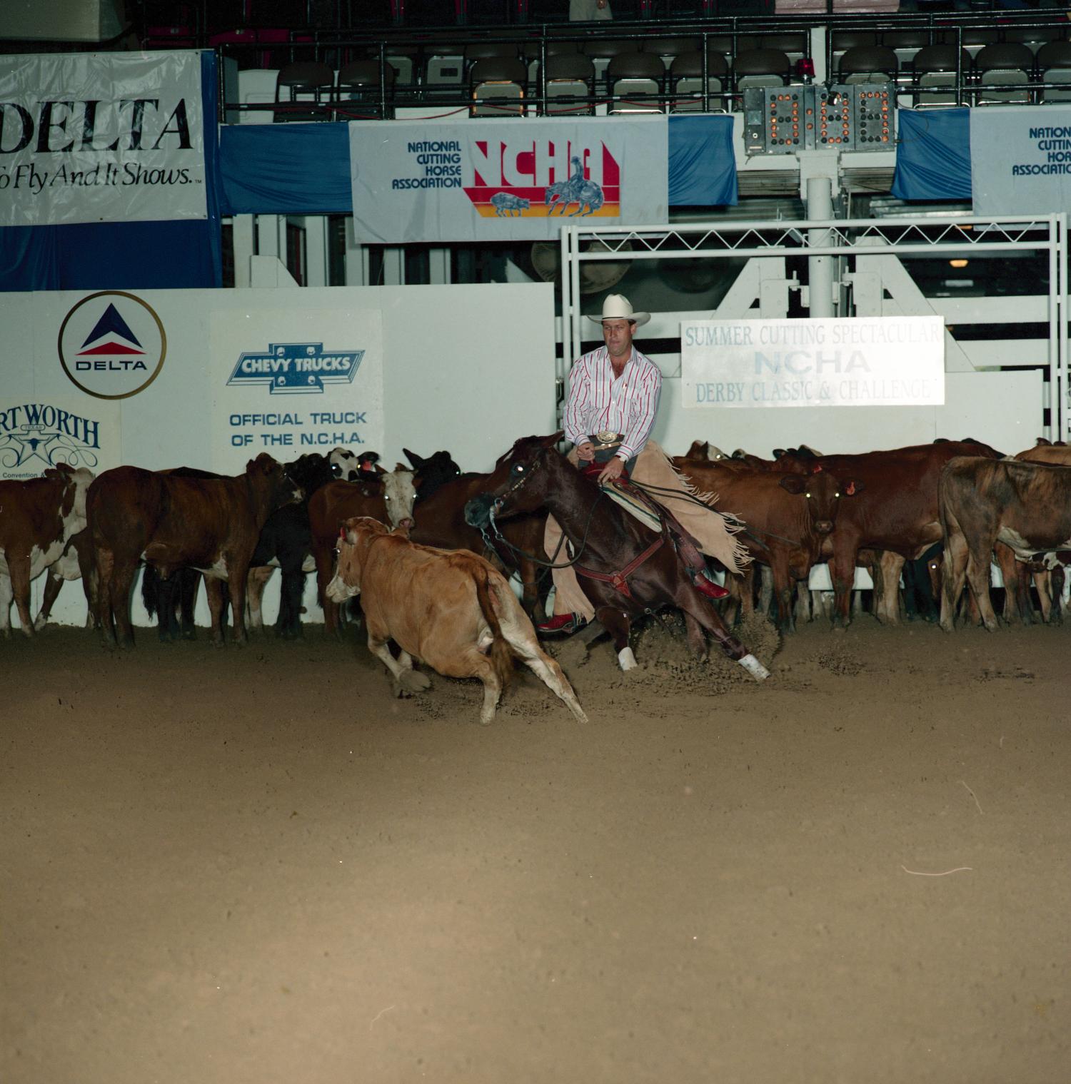 Cutting Horse Competition Image 1991_D78_02 UNT Digital Library